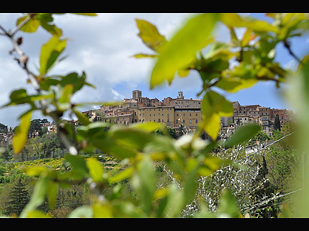La Casina Toscana Montepulciano Stazione Esterno foto